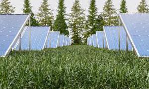 fonti di energia rinnovabile